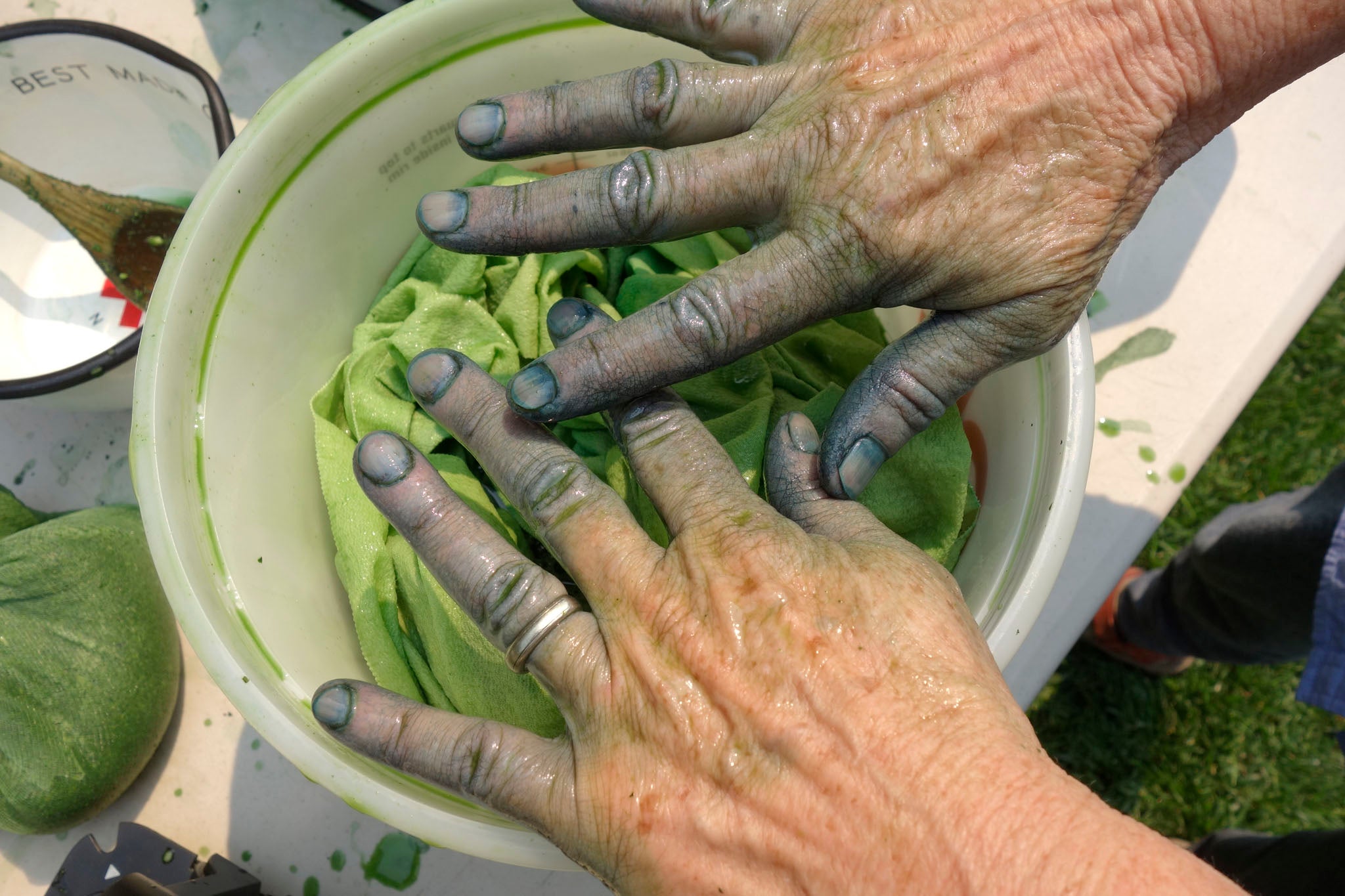 Fresh-leaf indigo dyeing at Okan Arts farm in the Okanogan Highlands, Washington