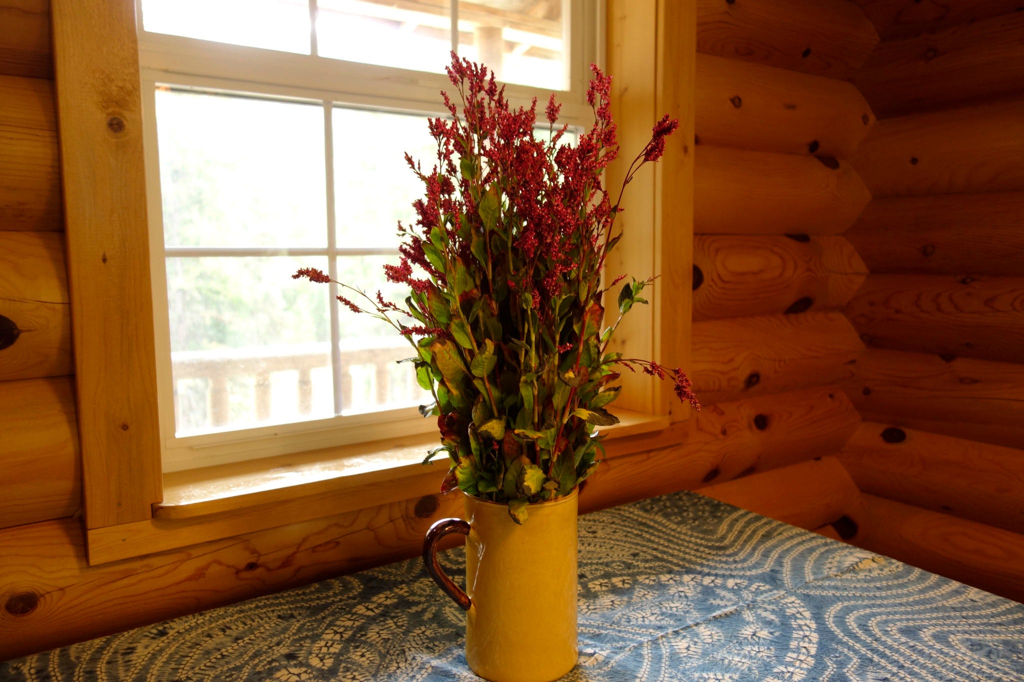 Blossoming indigo branches at Okan Arts Farm, September 2021