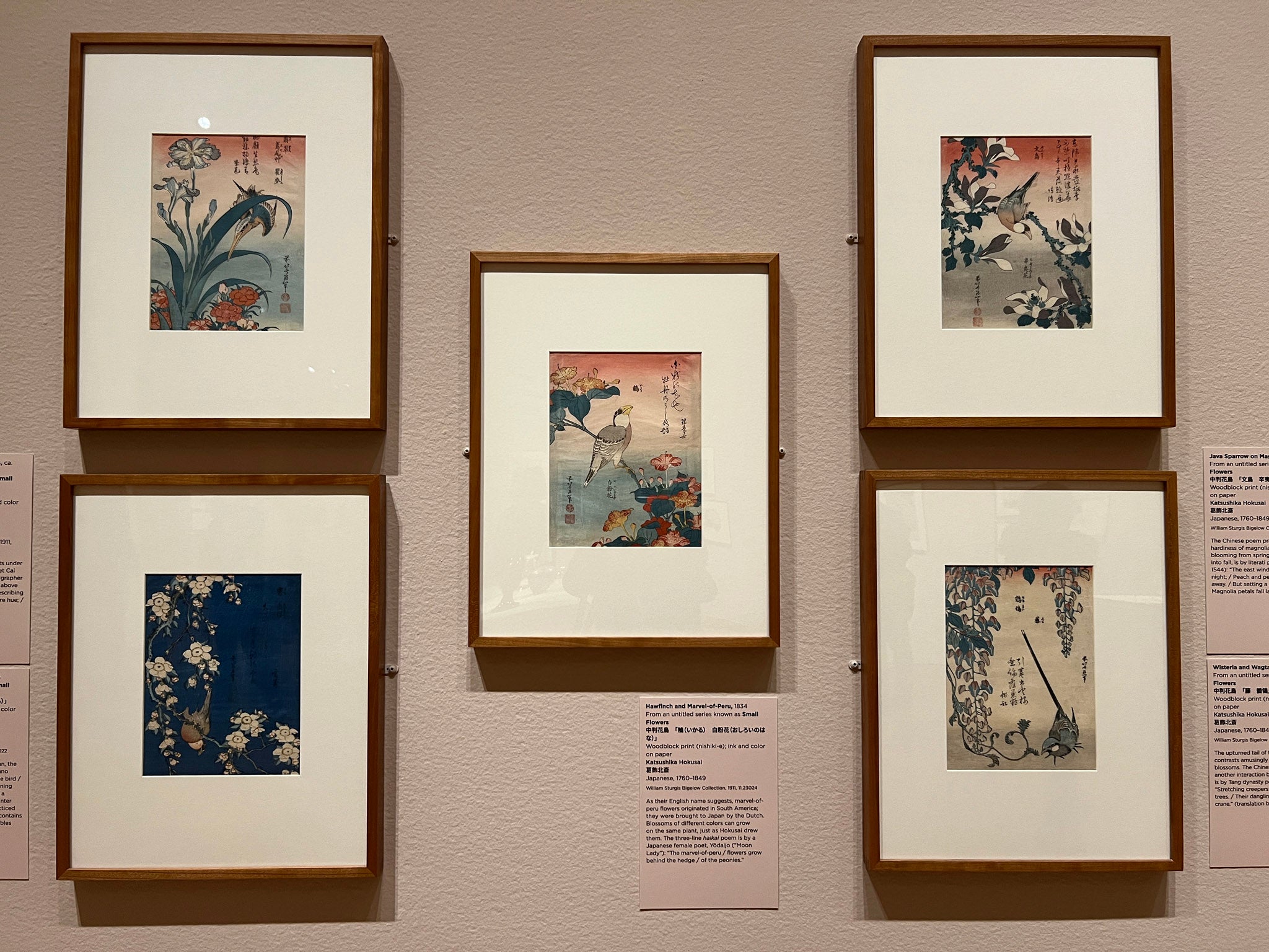 Hokusai exhibit at Seattle Art Museum, OCT 19 2023 – JAN 21 2024