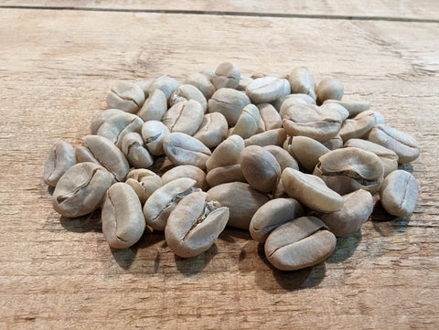 Coffee Seeds Ready For Planting