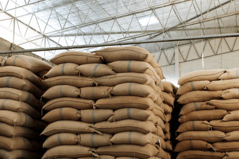 Sacks of coffee beans in storage.