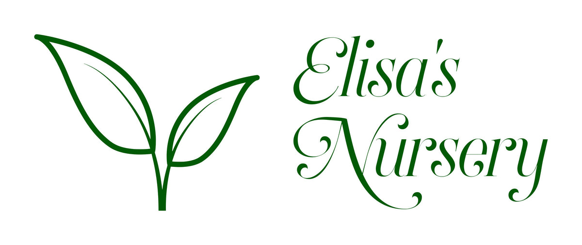 elisasnursery.com