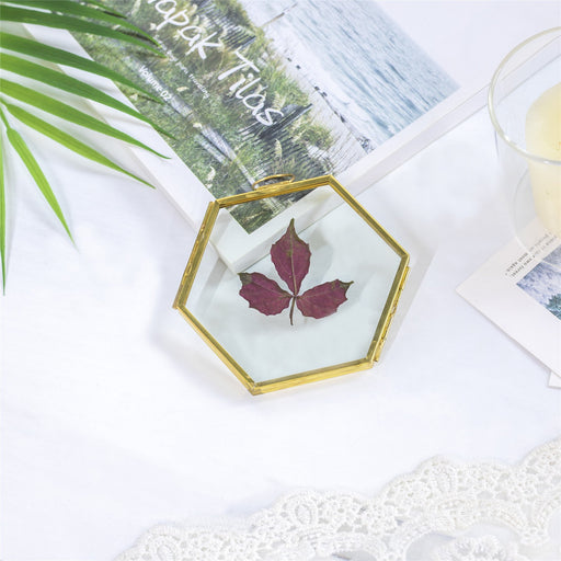 Hanging Small Pink Hexagon Herbarium Copper Glass Frame for Pressed Flowers  Dried Flowers