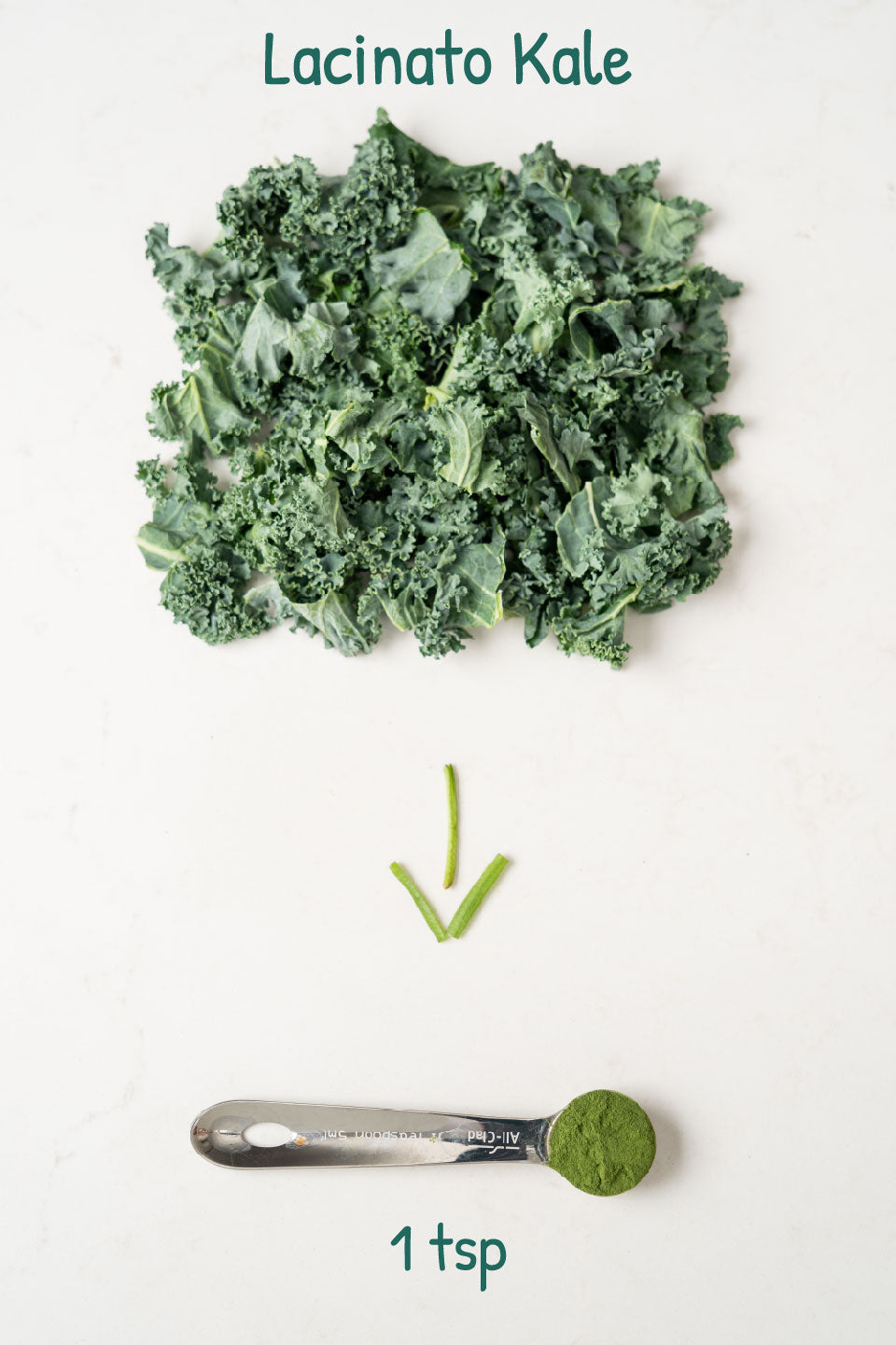 Lacinato Kale - Green Rascal product image