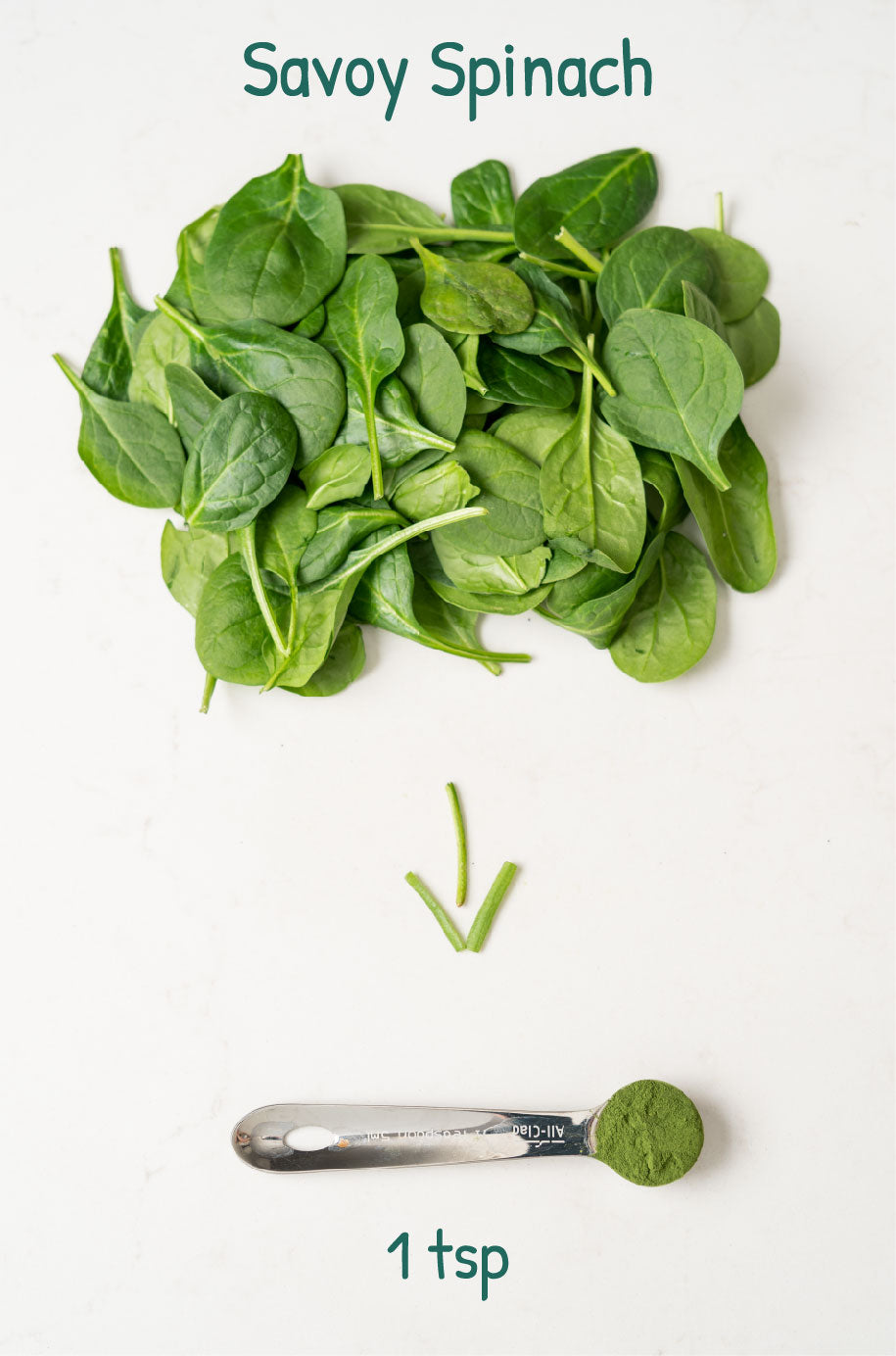 Savoy Spinach - Green Rascal product image