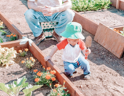 Toddler Playing In Garden