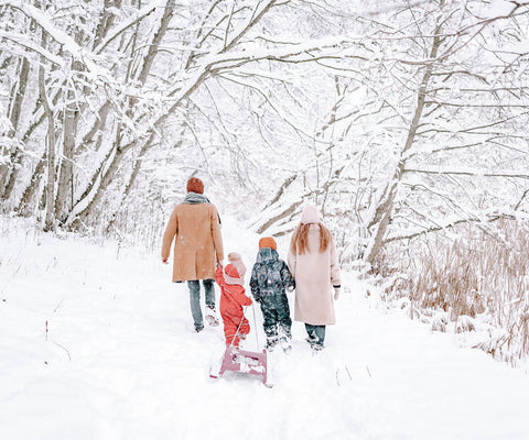 family walking in the snow