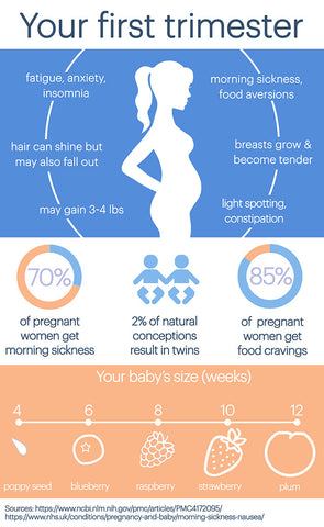 first trimester physical changes