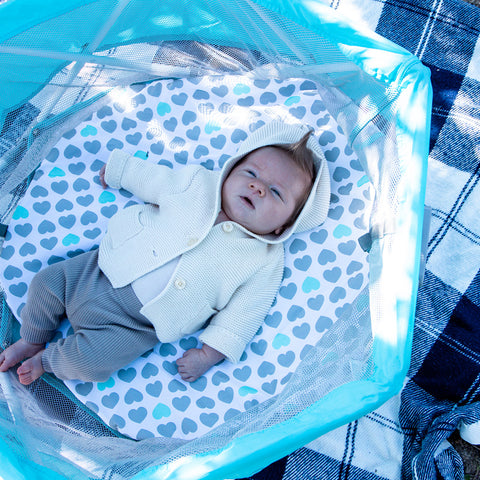 baby in a portable bassinet