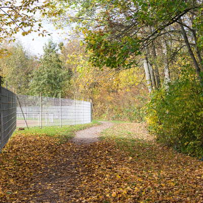 walking on a fall day at Antioch Park 