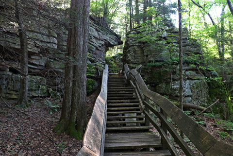Beartown State Park wooden stairs 