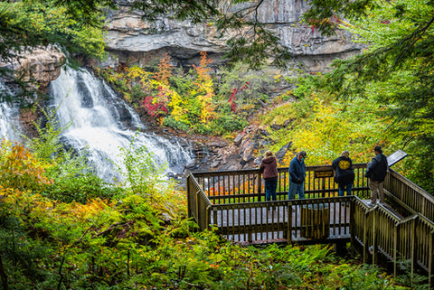 Blackwater Falls State Park Waterfall