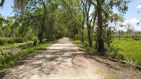 Brazos Bend State Park dirt road 