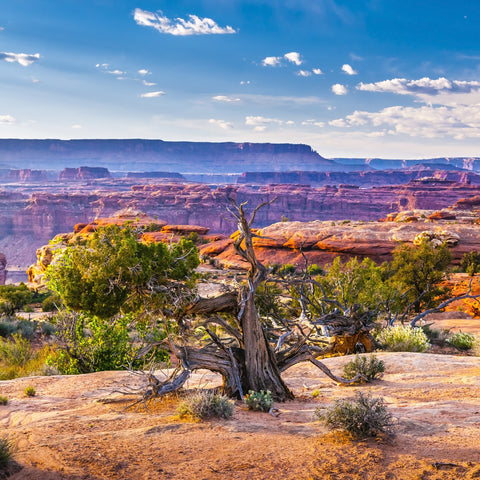 Canyonlands National Park