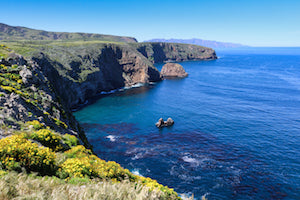 Channel Islands coast 