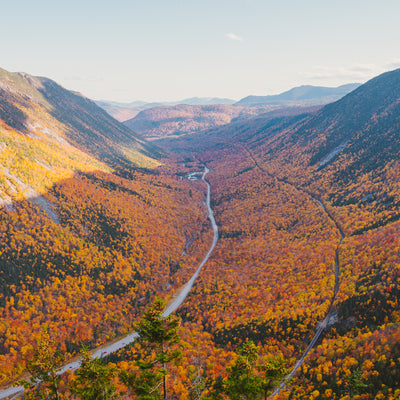 single road through a forest in Crawford Notch State Park