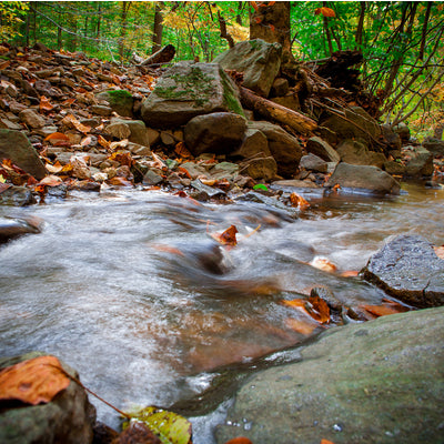 walking through a creek at Delaware State Park 