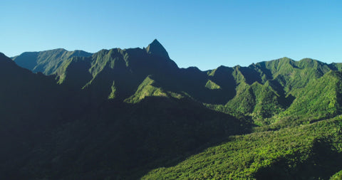 Iao Valley State Park Green for Miles