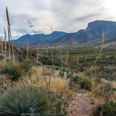 in the desert at Kartchner Caverns in Arizona 