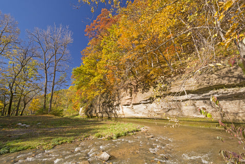 Ledges State Park in the fall