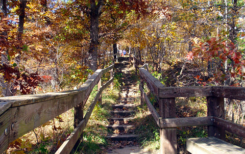 Ledges State Park Staircase