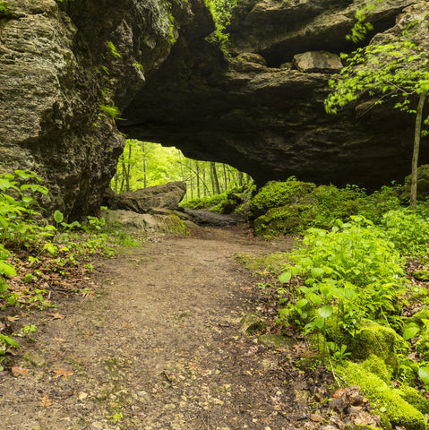 Maquoketa Caves State Park hiking trail