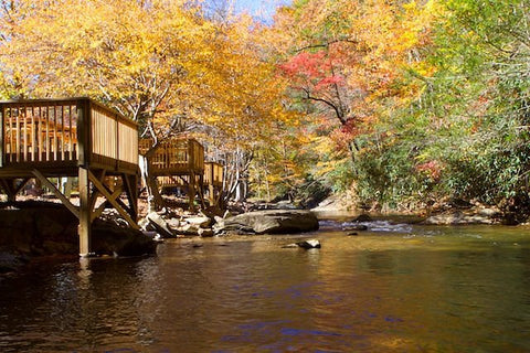 Mountain Stream Rv Park near water 