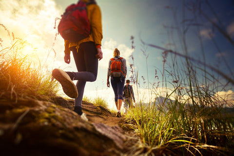 Top Items to Bring for a Hike