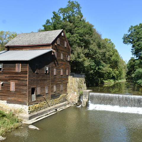 Wildcat Den Trail House