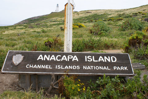 Anacapa Island Channel