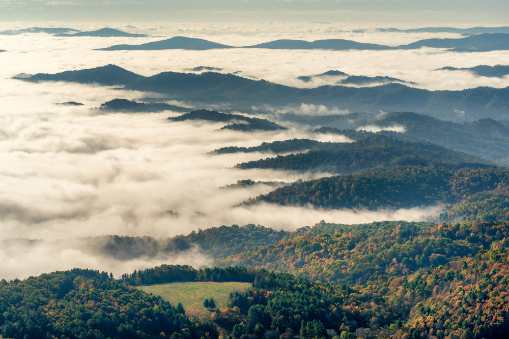 Autumn Fog Rolling Over Mountain Tops Grayson Highlands State Park Virginia