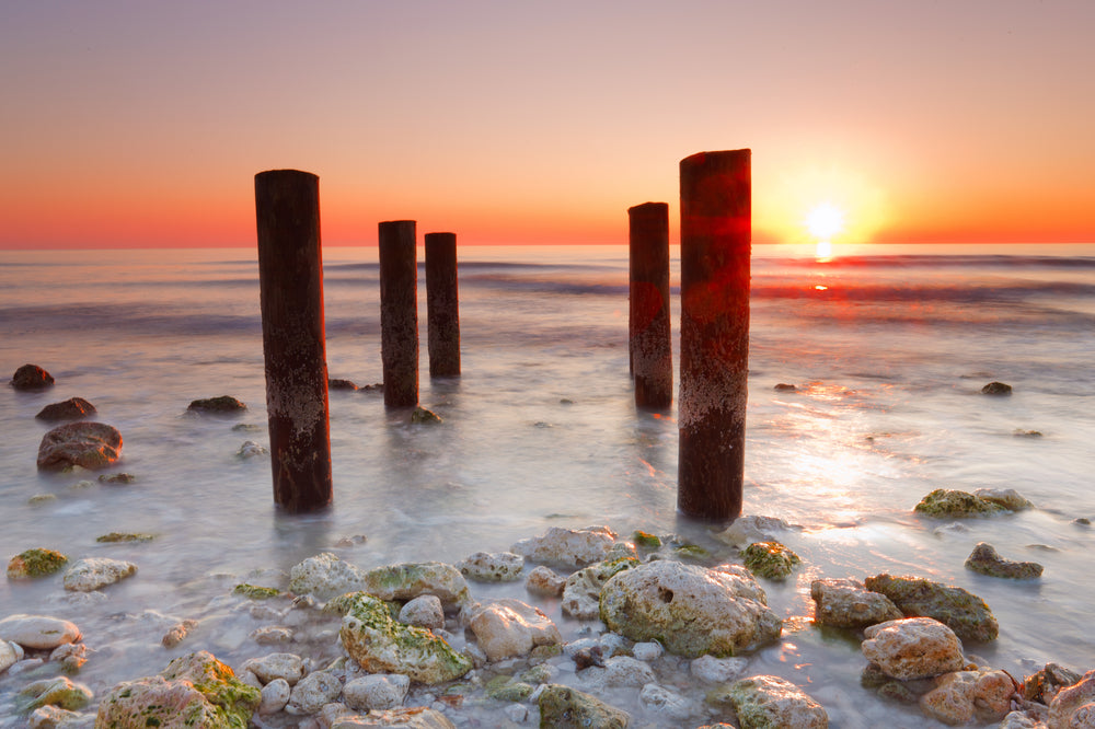 Beach at Sunset in Honeymoon Island State Park Florida