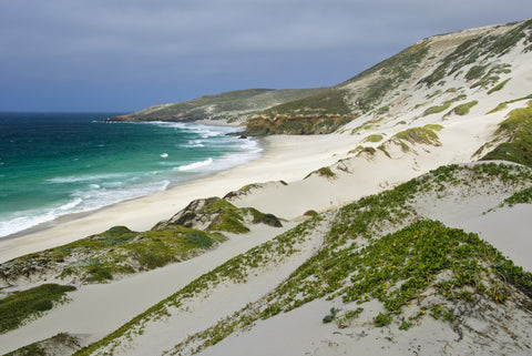 Beach Coast of Off Channel Coast 