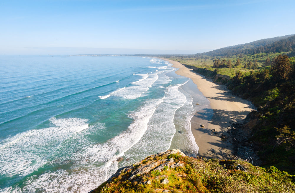 Beautiful Morning Sunny View of Beach at Redwood National and State Parks California