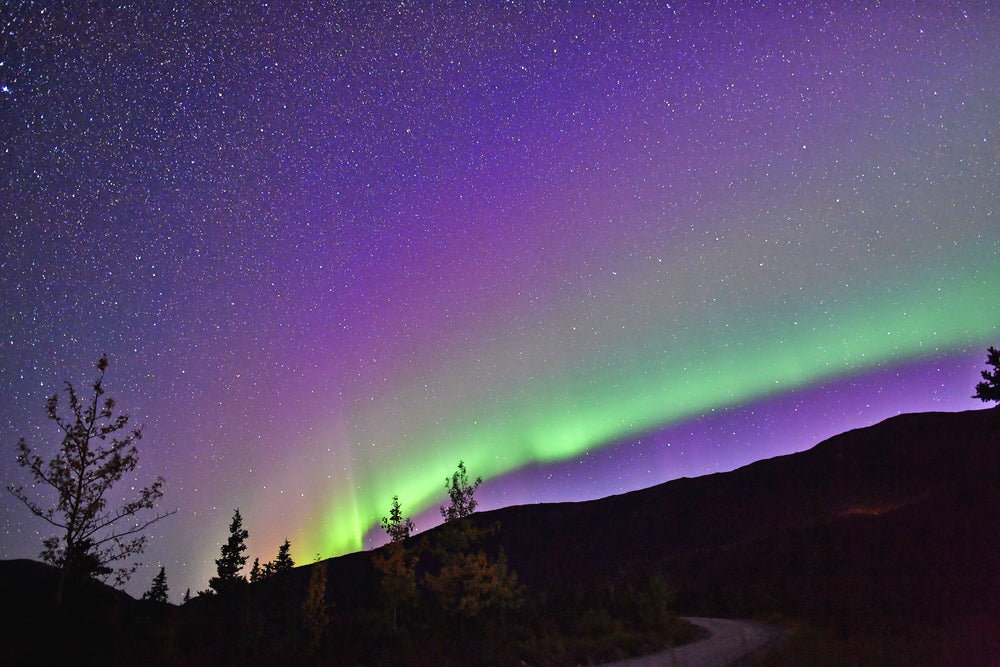 Beautiful Night Time View of Northern Lights Over Denali National Park Alaska