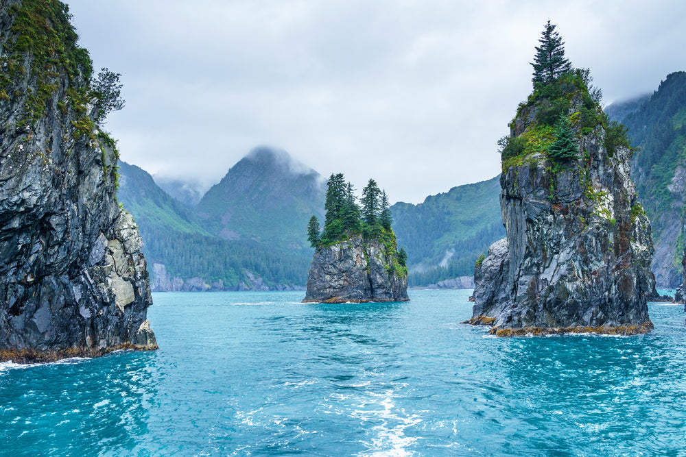 Blue Waters of Porcupine Bay on Cloudy Morning in Kenai Fjords National Park Alaska