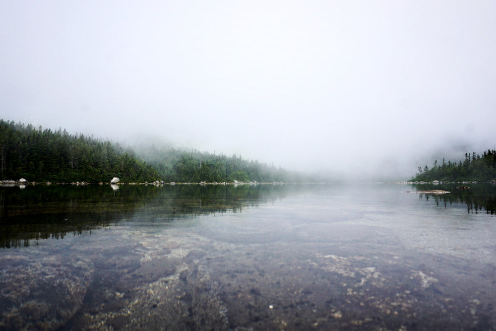 Calm Lake Near Mount Blue State Park Maine