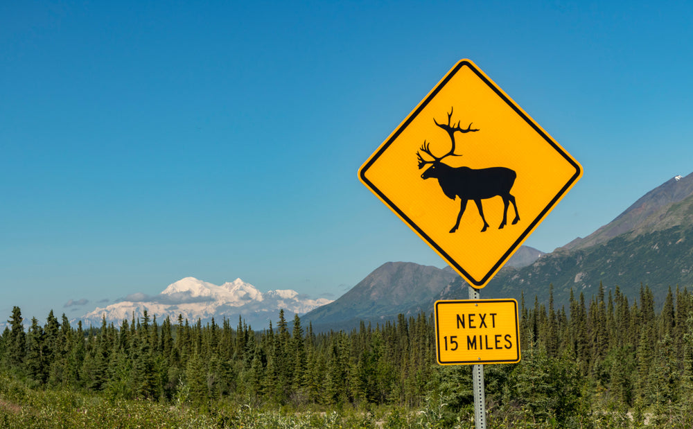 Caribou Crossing Road Sign With Mt. Denali in The Background at Denali National Park Alaska