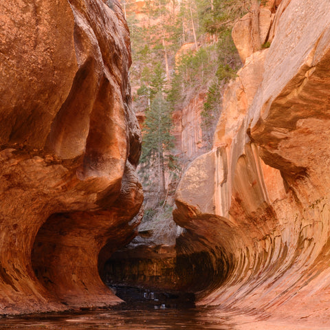 Entrance to the subway slot canyon in Zion National Park