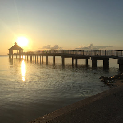 Fontainebleau State Park Louisiana