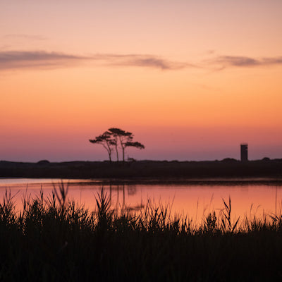 Gordons Pond State Park Delaware