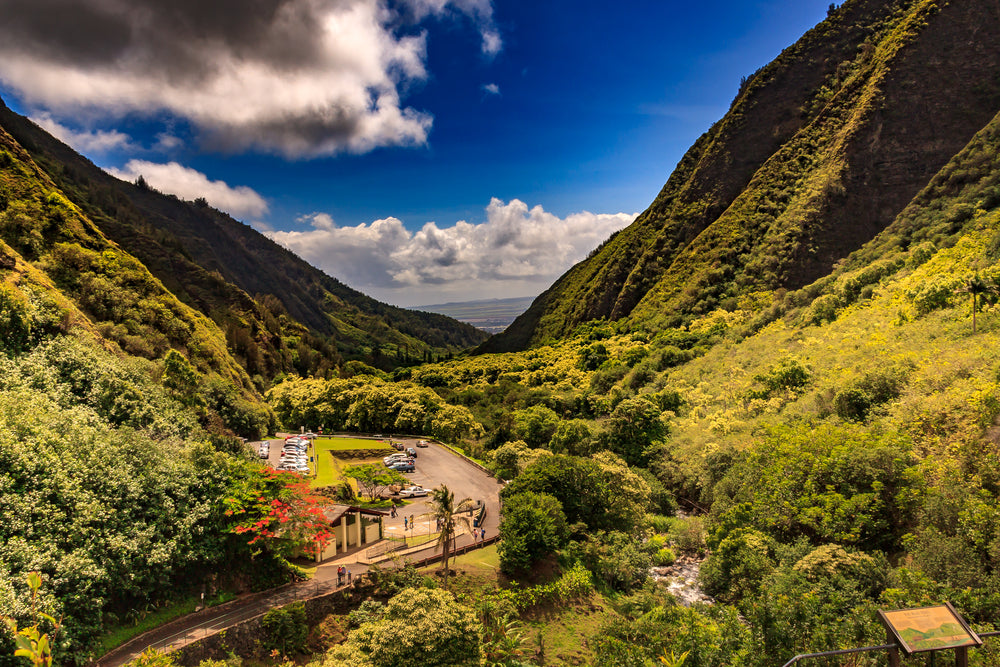 Gorgeous Sunny View of Maui Hawaii