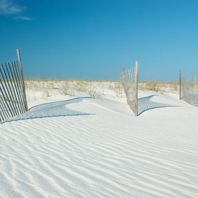 Gulf State Park Alabama