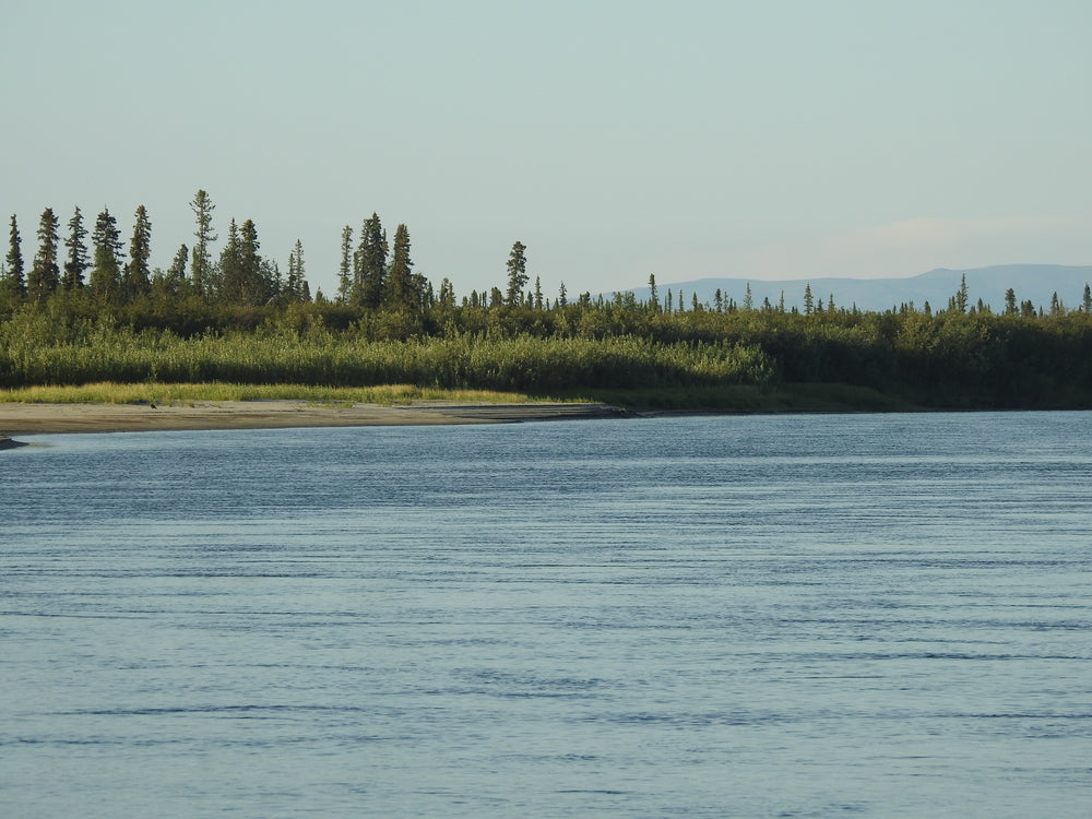 Kobuk River at Kobuk Valley National Park Alaska