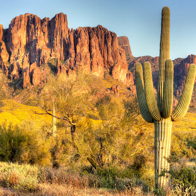 Lost Dutchman State Park Arizona