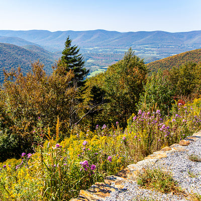 Mount Greylock State Park Massachusetts