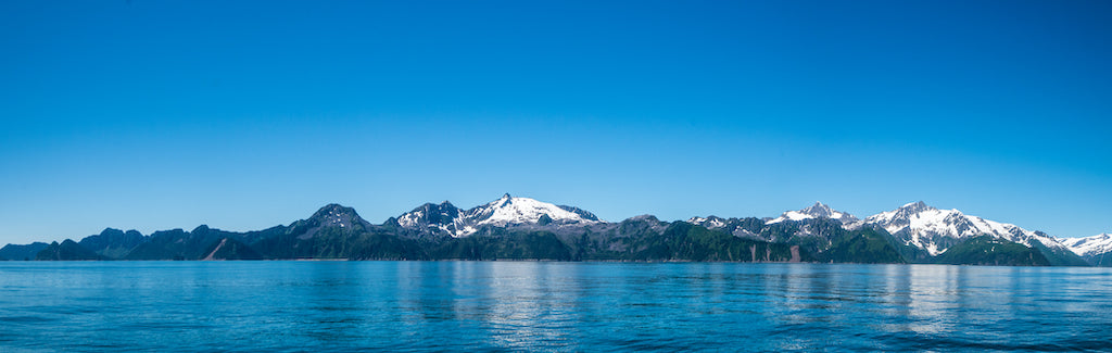 Panoramic View of Water and Glaciers in Kanai Fjords National Park