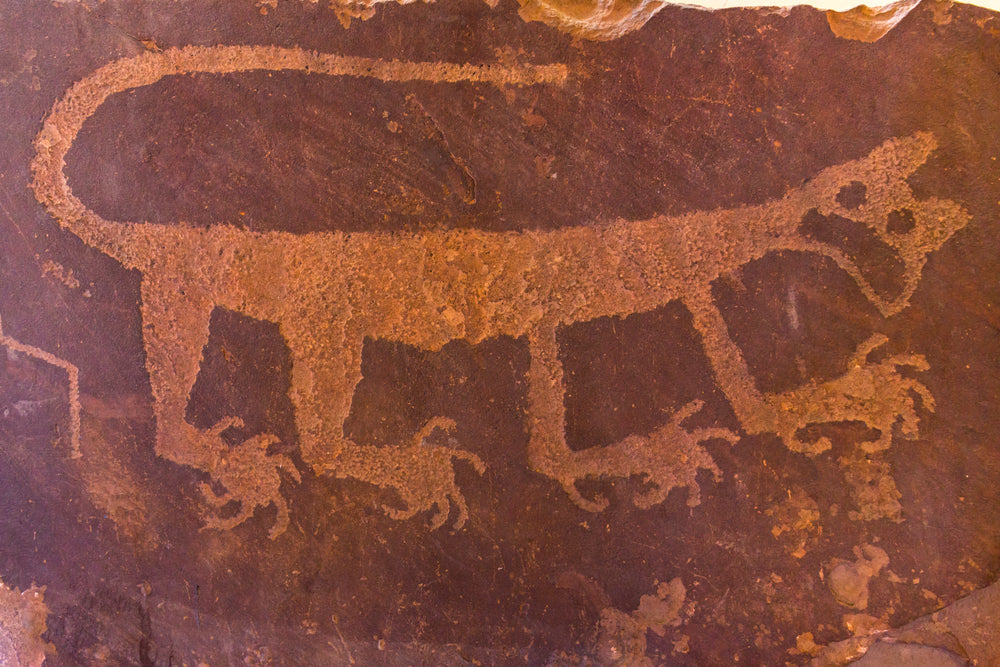 Petroglyphs at Painted Desert Inn Historic Landmark in Petrified Forest National Park Arizona State USA