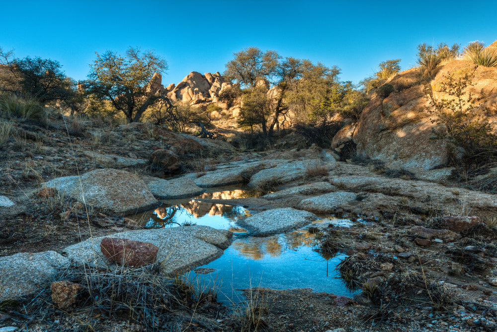 Pond With Boulders and Trees While Sun is Setting in Benson Arizona