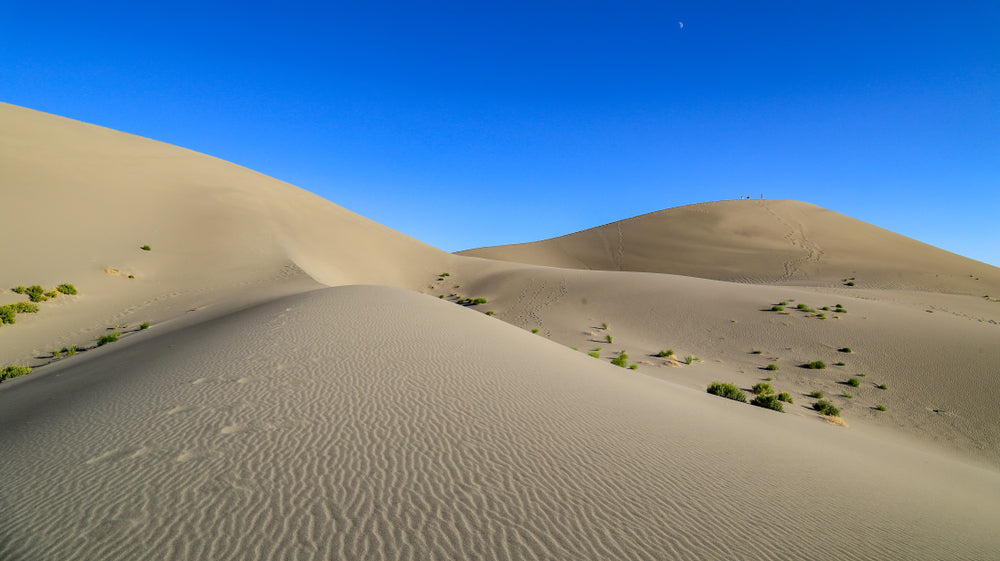 Sunrise at Sand Dunes Lake at Bruneau Dunes State Park Idaho